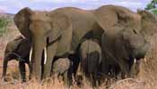 Southern Africa