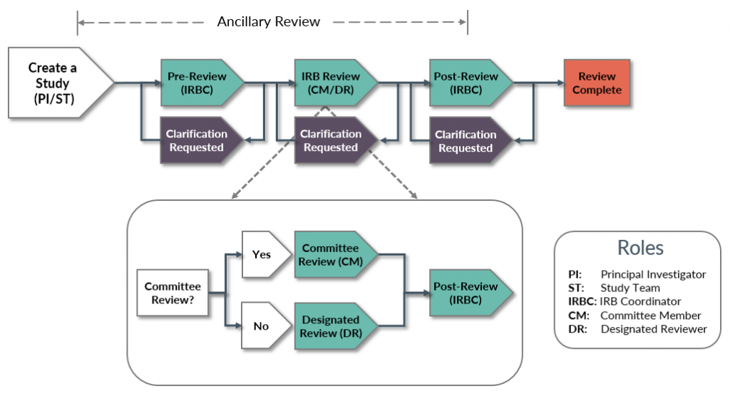 What Does the IRB Review?, Research