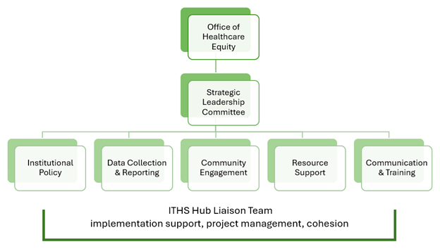 Diagram showing the 5 working groups under the Office of Healthcare Equity and Strategic Leadership Committee- Institutional Policy, Data Collection and Reporting, Community Engagement, Resource Support, and Communication and Training